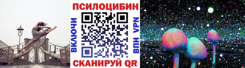 Псилоцибиновые грибы Psilocybine cubensis  цены   Озёрск 